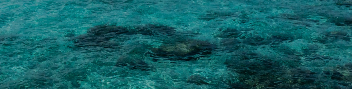 Aerial view of turquoise ocean